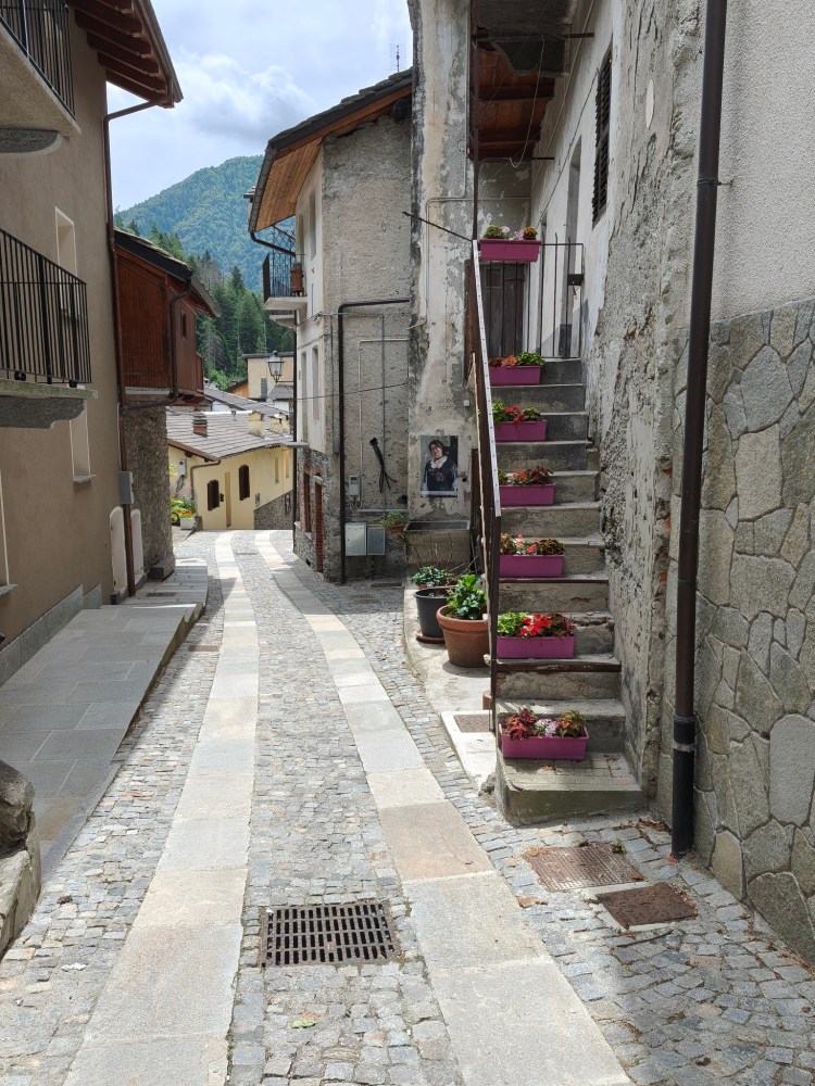 Una strada acciottolata con case in pietra e una scalinata con fiori in vasi di plastica rosa.