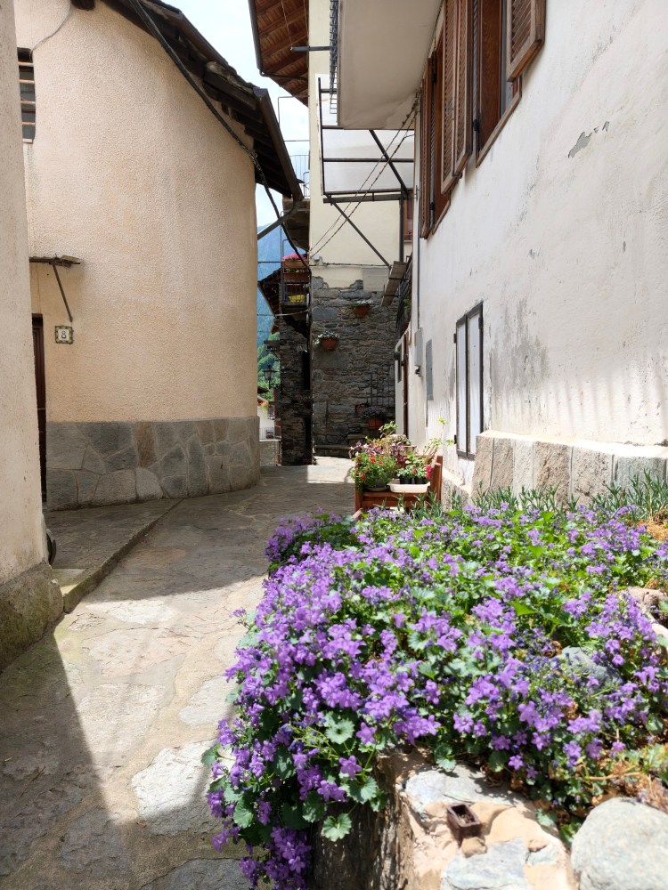 Un vicolo fiorito con case di pietra e legno sullo sfondo, fiori viola che adornano la strada.