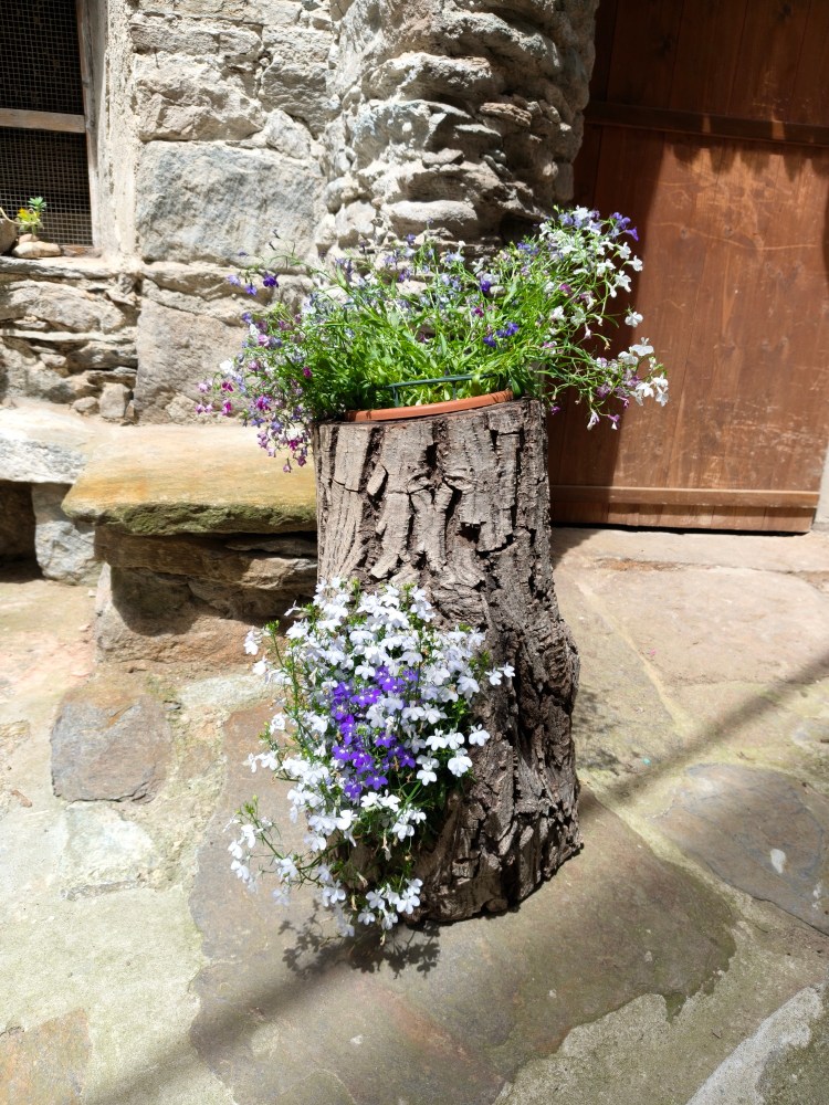 Un ceppo di albero trasformato in vaso con fiori bianchi e viola, situato su una superficie di pietra.