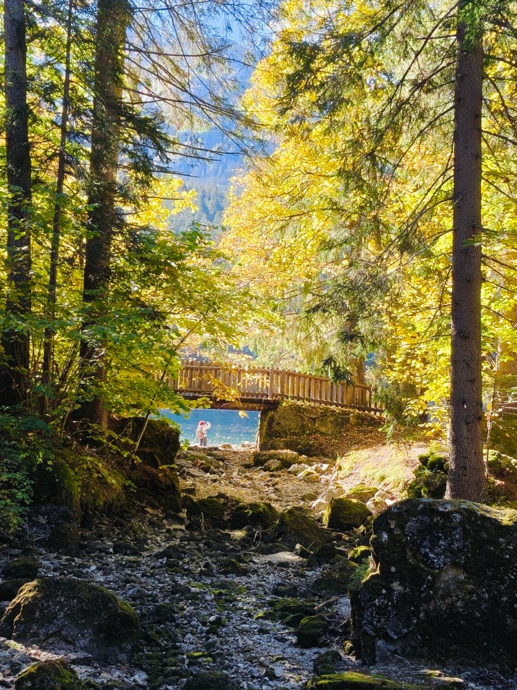 Un ponte di legno attraversa un ruscello circondato da alberi autunnali. In fondo, due persone sono in piedi vicino all'acqua, mentre il paesaggio è illuminato dalla luce solare.