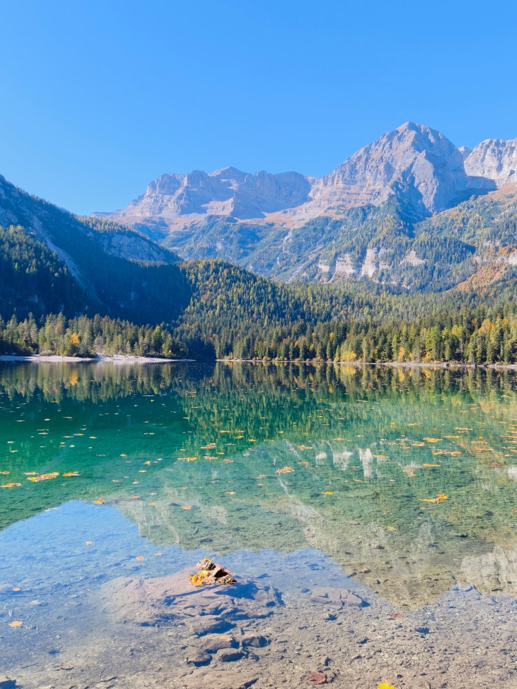 Lago tranquillo circondato da montagne e foreste, con una chiara riflessione dell'acqua e foglie galleggianti.
