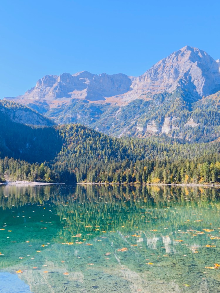 Un lago tranquillo con acque turchesi e foglie galleggianti, incorniciato da montagne imponenti e foreste verdeggianti in un cielo sereno.