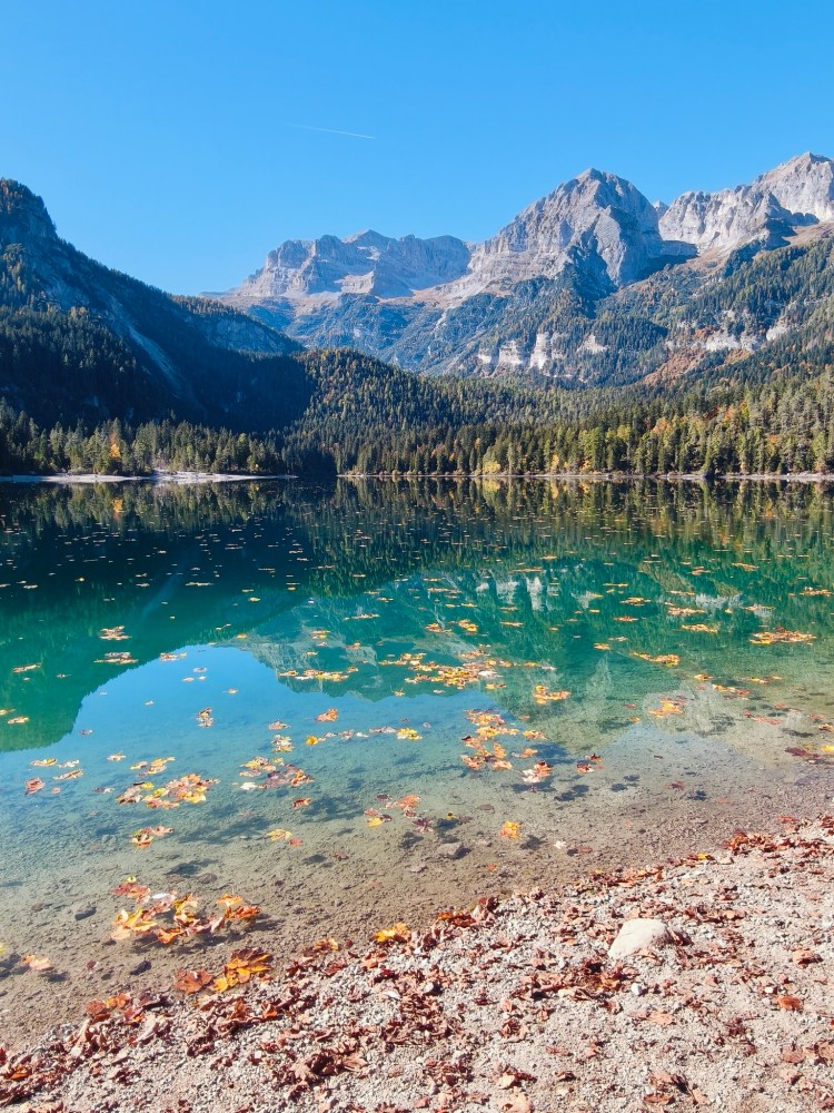 Un lago circondato da montagne, con acqua cristallina e foglie autunnali galleggianti.