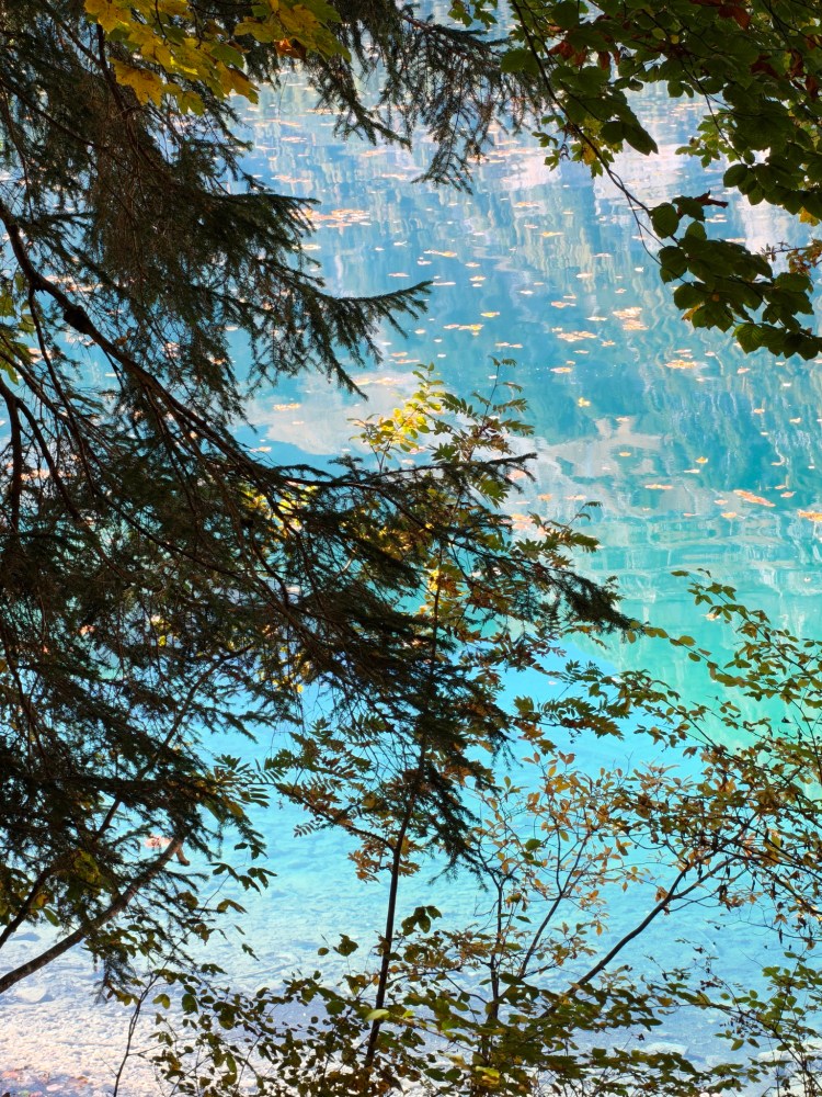 Vista di un lago blu con foglie galleggianti, circondato da alberi e rami in primo piano.