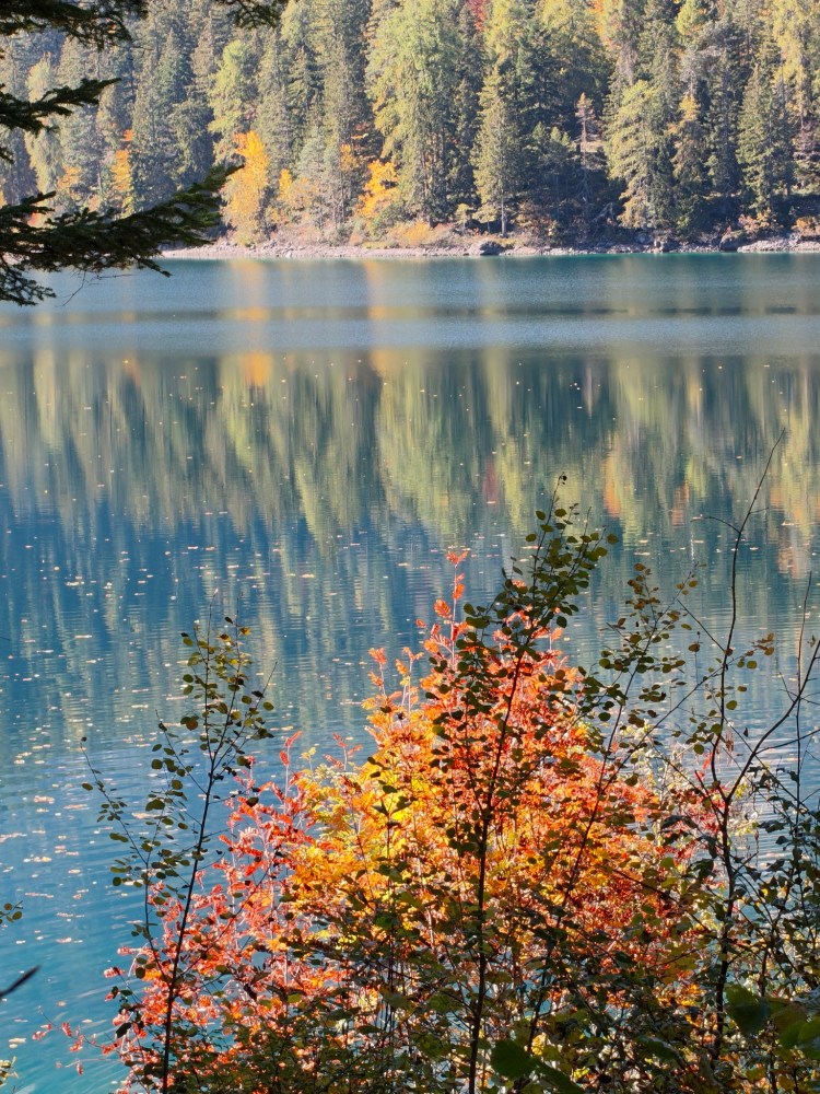 Un lago tranquillo circondato da alberi autunnali colorati, con riflessi nell'acqua.