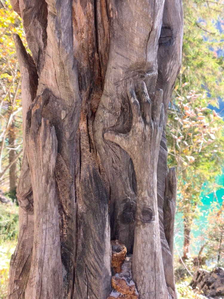 Un tronco d'albero con una mano scolpita nel legno, circondata da foglie e acqua blu sullo sfondo.