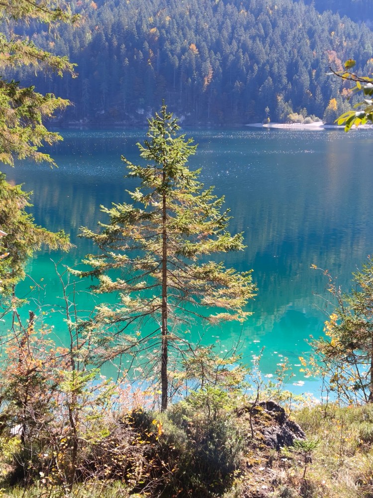 Vista di un lago azzurro circondato da alberi e una vegetazione lussureggiante, con riflessi sul'acqua.