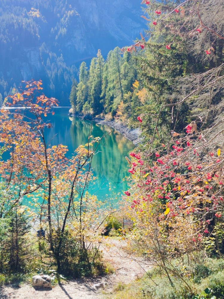 Vista panoramica di un lago blu circondato da alberi e foglie autunnali.