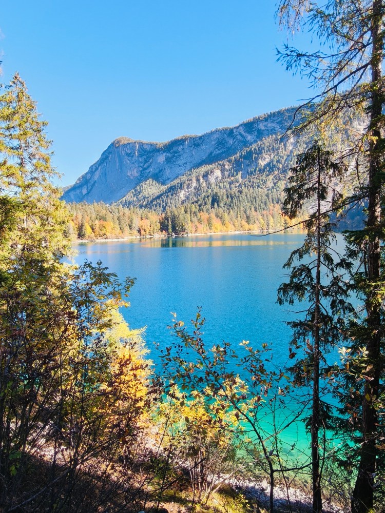 Vista panoramica di un lago blu circondato da alberi e montagne in una giornata di sole.