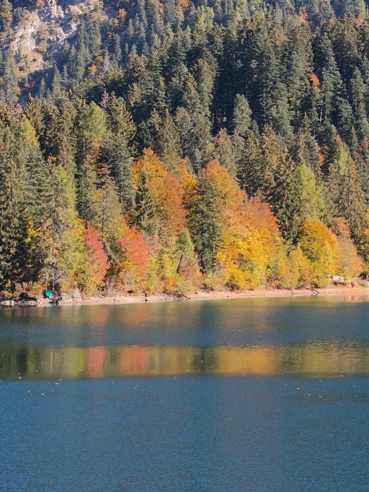 Una vista panoramica di un lago circondato da alberi con foglie autunnali di colori vivaci, riflesso sull'acqua.