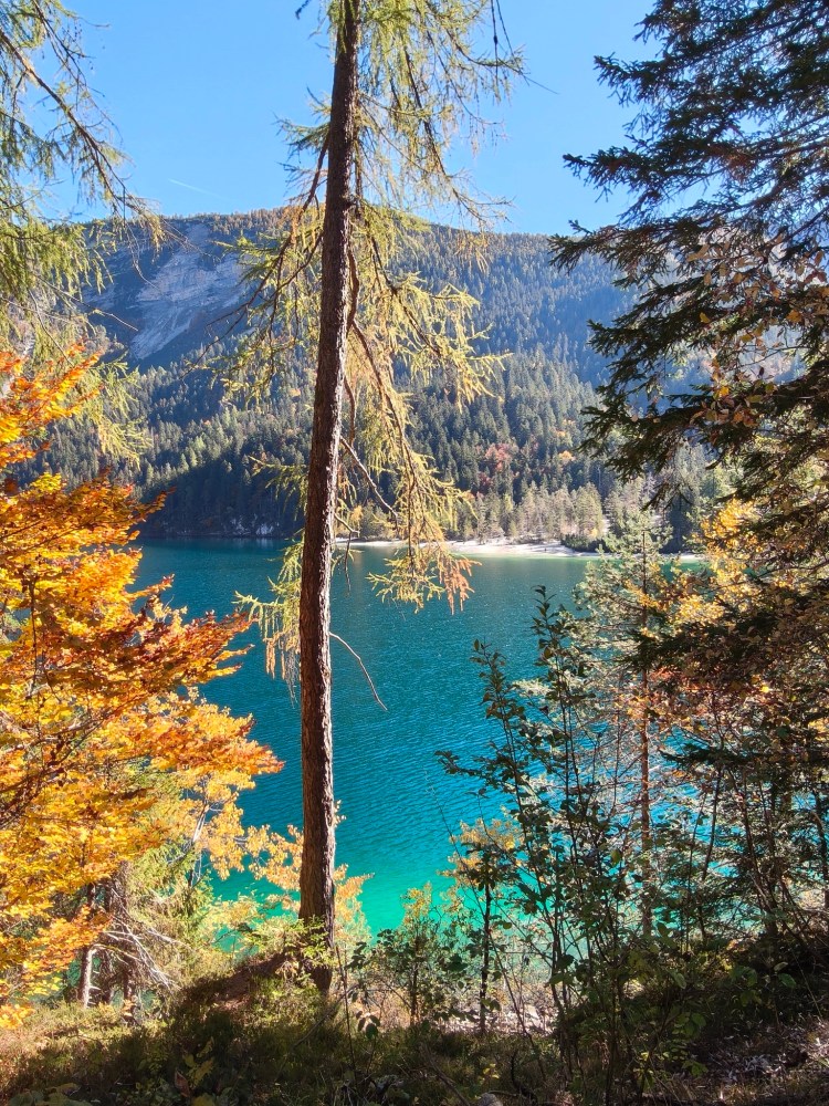 Vista panoramica di un lago cristallino circondato da alberi autunnali e montagne, con un cielo blu sereno.