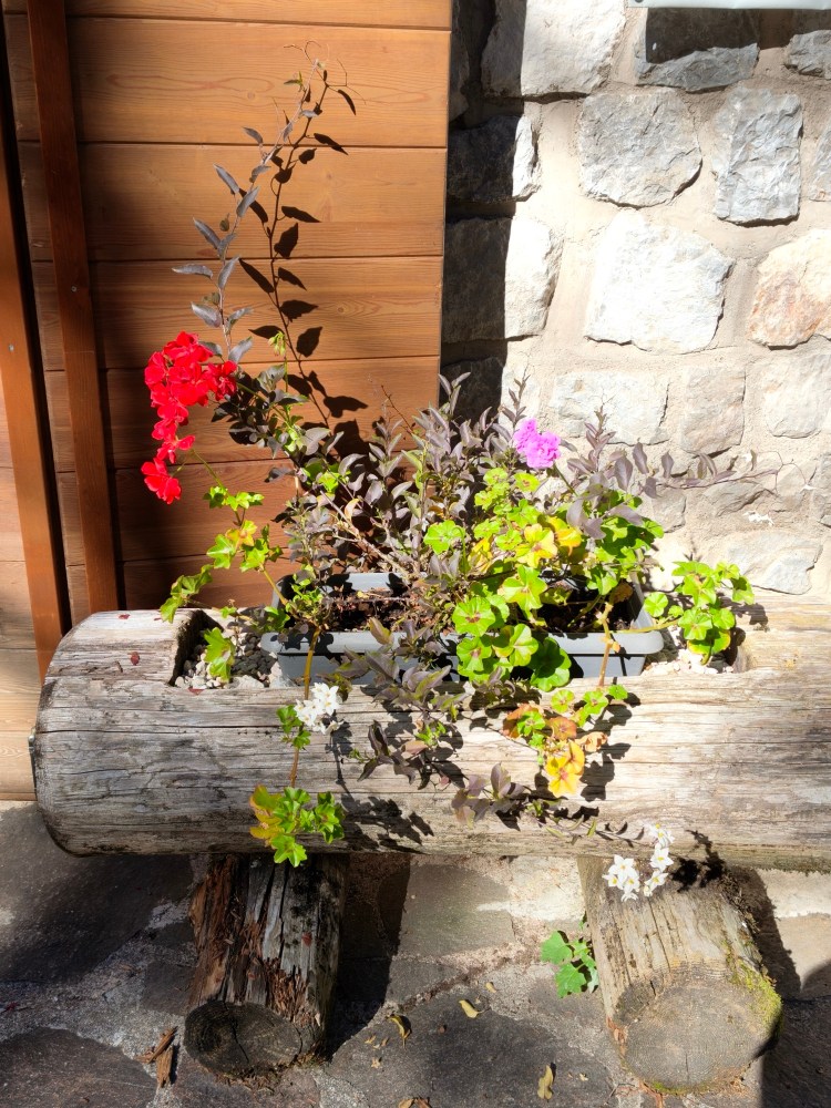 Vaso di fiori colorati su un tronco di legno, con fiori rossi, rosa, bianchi e verdi, posizionato accanto a una parete di pietra e legno.