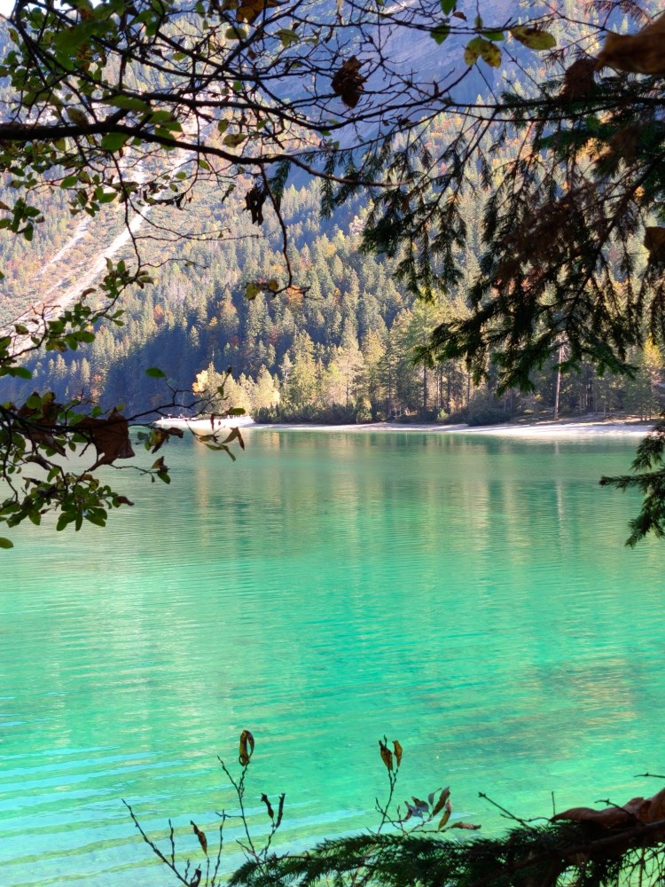 Vista di un lago di acqua verde trasparente circondato da alberi e montagne nel periodo autunnale.