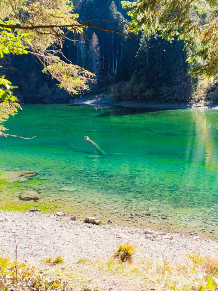 Un lago verde brillante circondato da alberi, con persone che camminano lungo la riva.