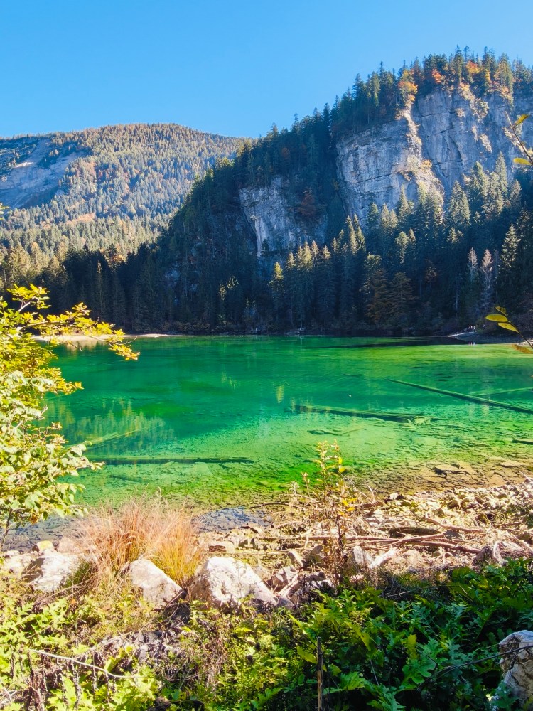 Un lago verde circondato da alberi e montagne, con un cielo azzurro e un'atmosfera serena.