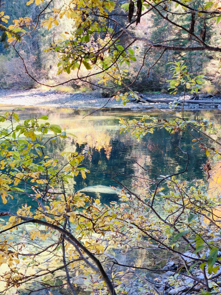 Veduta di un lago tranquillo circondato da foglie autunnali e alberi, con riflessi dell'ambiente nell'acqua.