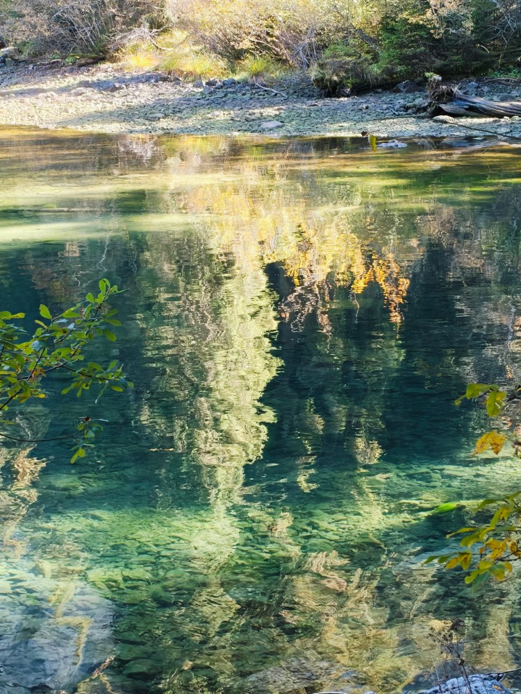 Riflessioni colorate di alberi sull'acqua chiara di un fiume, con sassi visibili sul fondo.