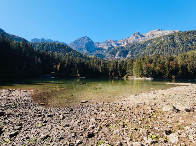 Un lago circondato da alberi e montagne, con un cielo blu sereno e acqua limpida.