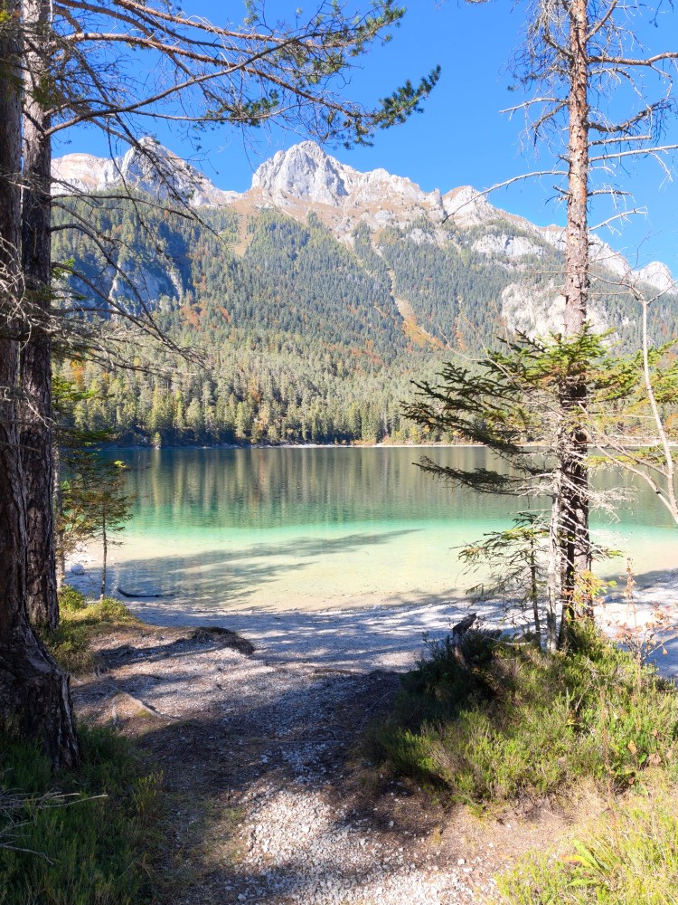 Scena di un lago cristallino circondato da alberi e montagne, con una strada sterrata che conduce alla riva.