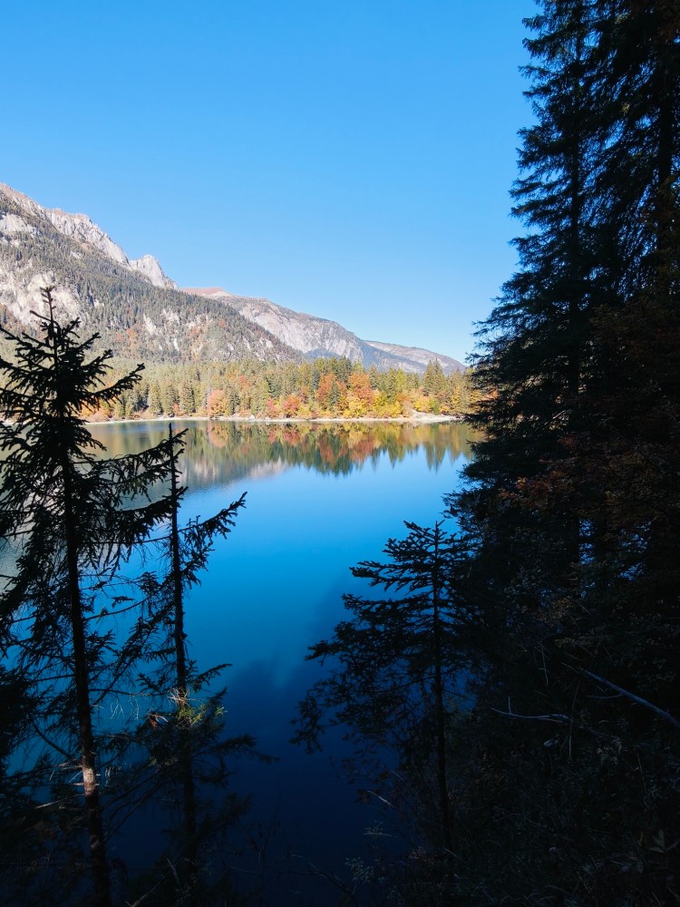 Vista di un lago circondato da alberi e montagne, con acqua calma e cielo sereno.