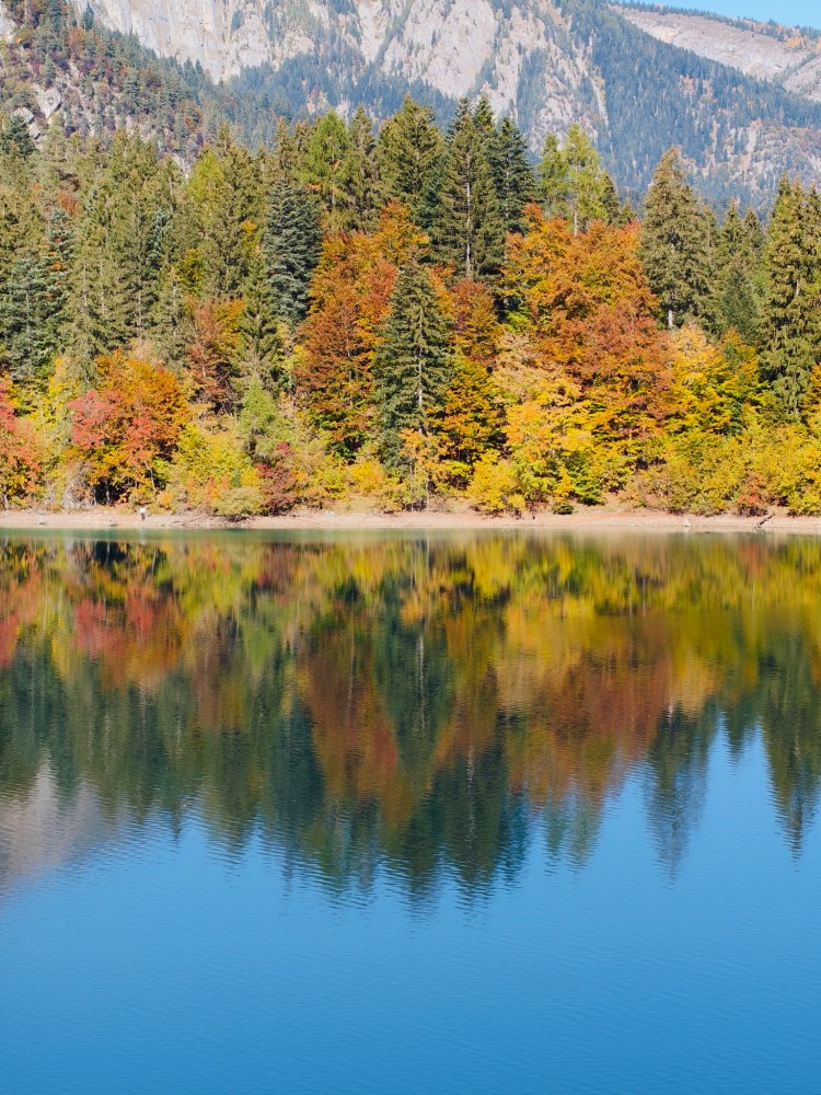 Vista di un lago con alberi colorati in autunno che si riflettono nell'acqua.