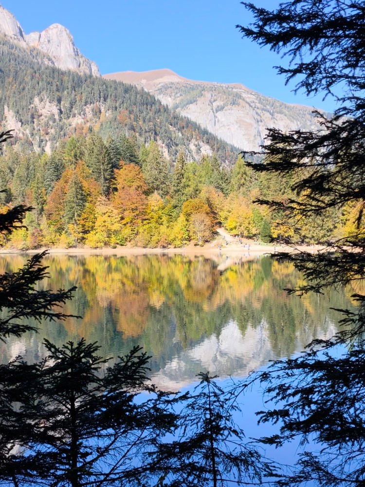 Un paesaggio autunnale con montagne sullo sfondo, riflesso nell'acqua calma di un lago circondato da alberi verdi e gialli.