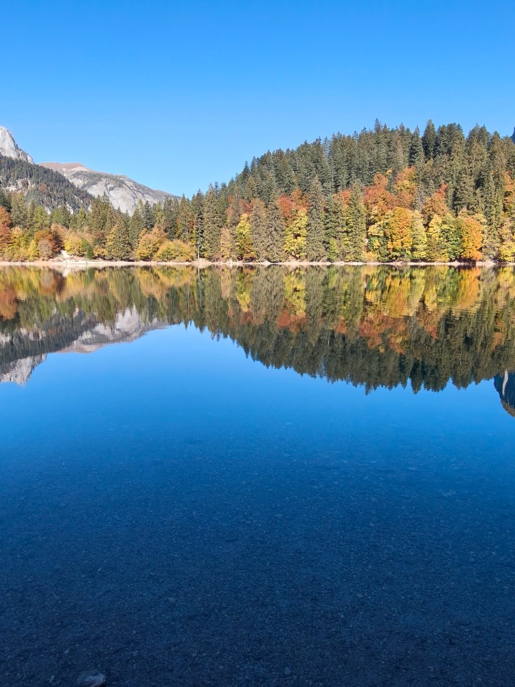 Un lago tranquillo circondato da alberi con foglie autunnali, riflesso nell'acqua limpida sotto un cielo sereno.