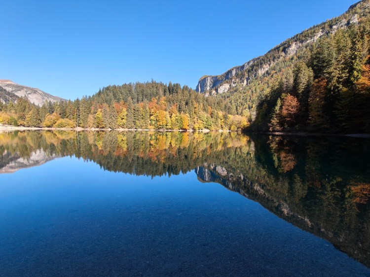 Lago circondato da alberi autunnali con riflessi sul'acqua e cielo sereno.