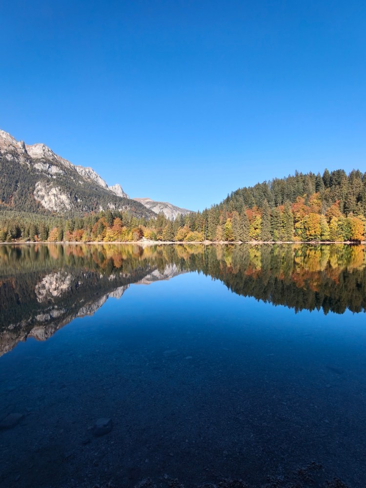 Pausa tranquilla al lago con montagne e alberi autunnali riflessi nell'acqua cristallina.