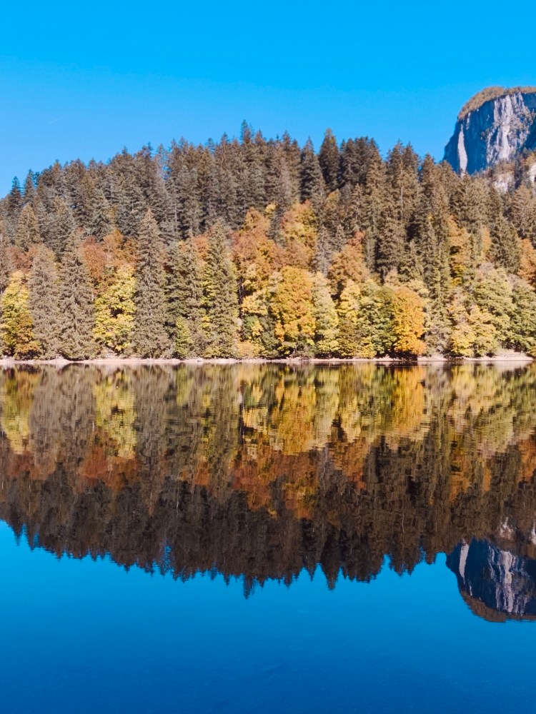 Vista di un lago tranquillo circondato da alberi colorati in autunno, con un cielo blu e un riflesso chiaro sull'acqua.