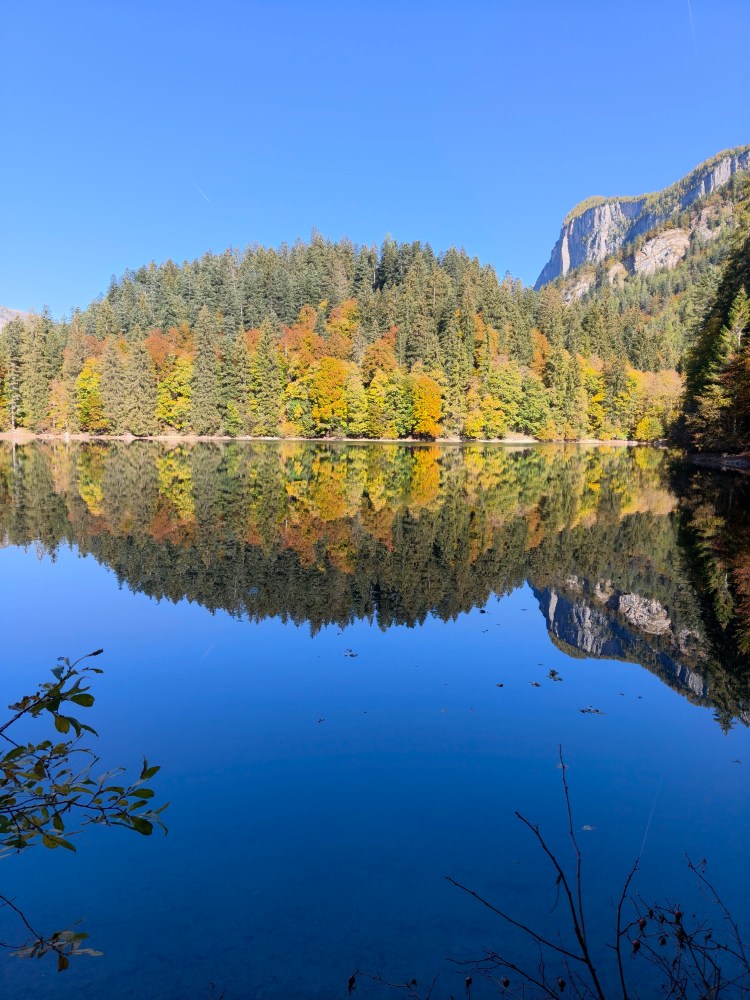 Riflesso di una foresta autunnale su un lago calmo con cielo azzurro.