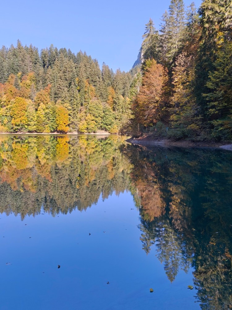 Un lago tranquillo circondato da alberi colorati in autunno, riflettendo il cielo sereno e la vegetazione circostante.