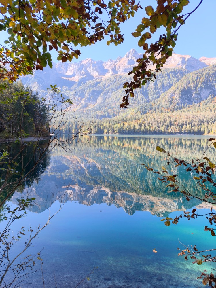 Vista di un lago cristallino circondato da montagne e alberi, con foglie autunnali visibili in primo piano.