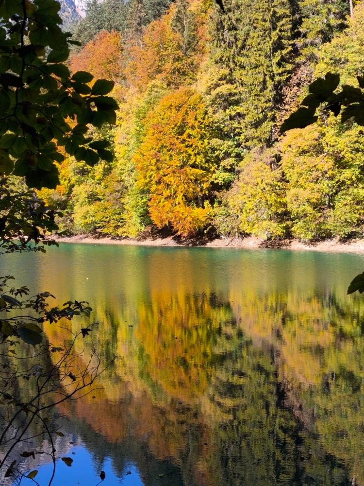 Vista di un lago circondato da alberi colorati in autunno, con riflessi nell'acqua.