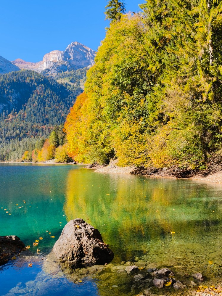 Un lago sereno con acqua cristallina circondato da alberi autunnali dai colori vivaci e montagne sullo sfondo.
