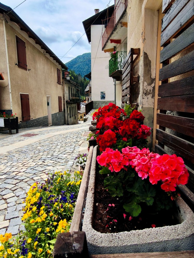 Una vista di una strada di montagna con fiori colorati in un vaso, case in calcestruzzo ai lati e montagne sullo sfondo.